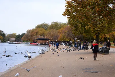 DSC_0636 (Large).JPG